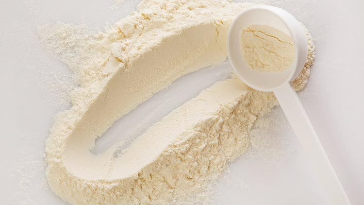 Vegetarian Protein Powder